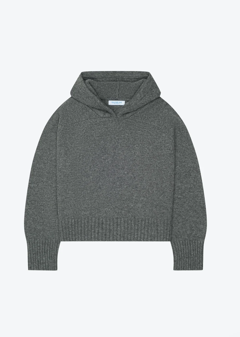 Cashmere Hoodie in Thunder Grey
