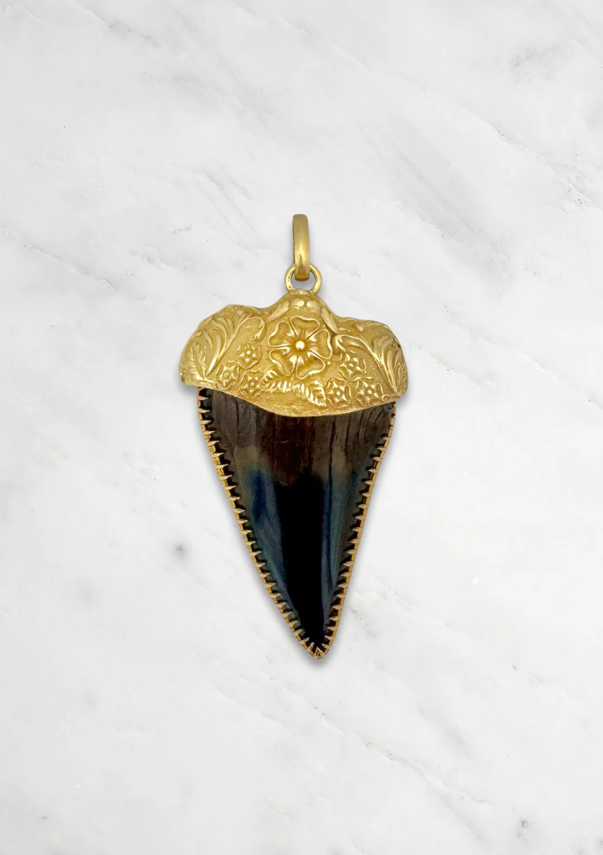 Love Token Fossilized Shark Tooth Talisman Pendant