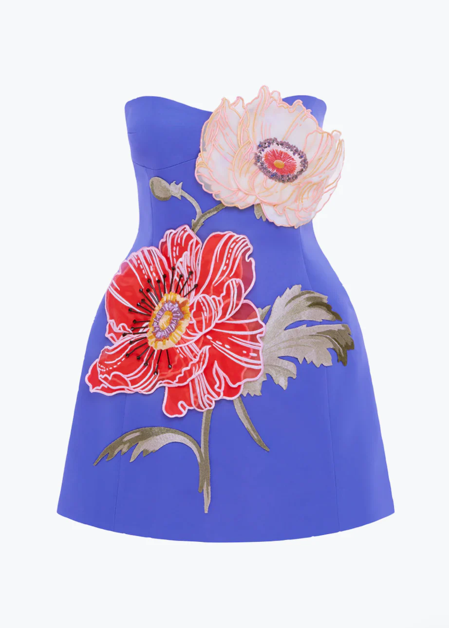 Rosario Appliqué Floral Bustier Mini Dress